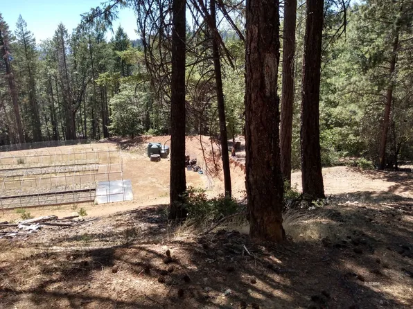 1291 Upper Moore Gulch Rd, Trinity Center, CA 96091