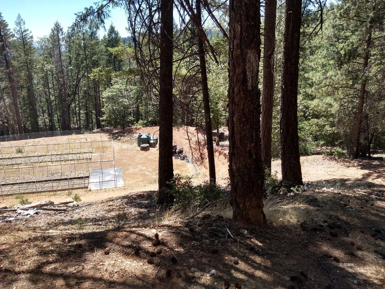 1291 Upper Moore Gulch Rd photo 1