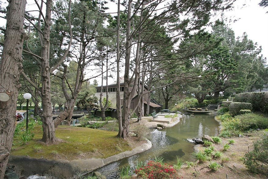 Affordable Oasis