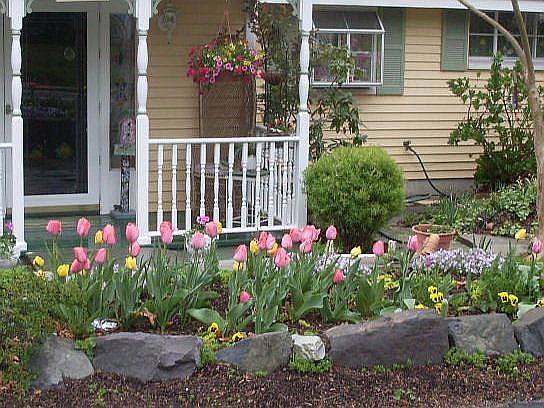 Springtime at "Rose Cottage"