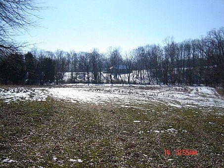 4th image of 117 Bridle Ln