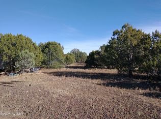 42 Cochise Trl, Vernon, AZ 85940