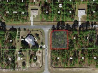 2372 W Elmore Loop, Citrus Springs, FL 34434