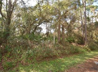 1484 Florida Ave, Orange City, FL 32763