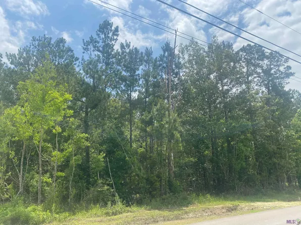 19132 Lost Oak Ln, Livingston, LA 70754