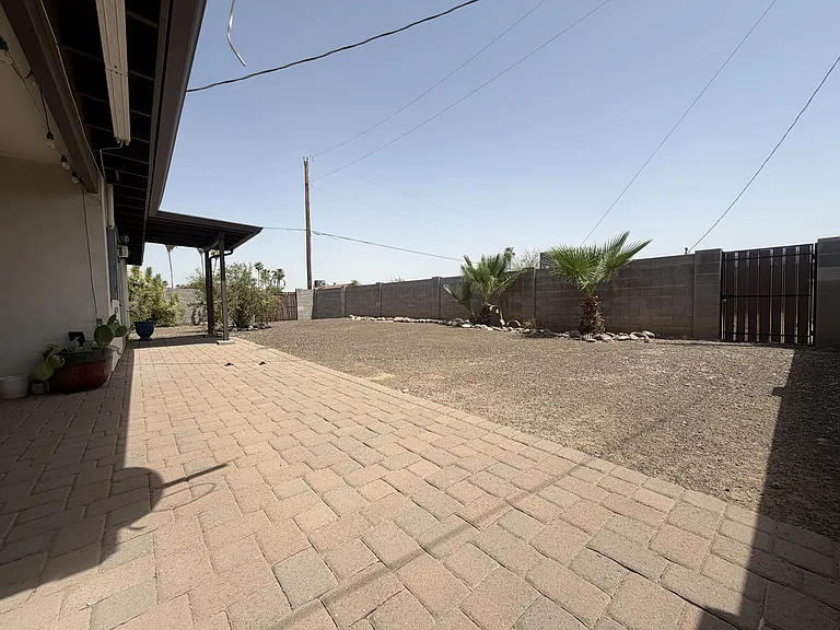 Backyard