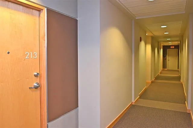 309 W Washington Ave #213 — Photo 8