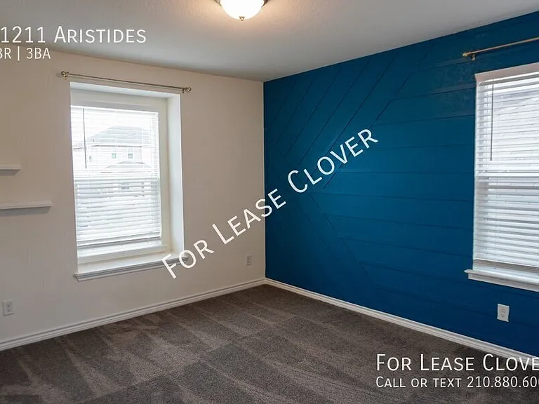 11211 Aristides — Photo 17