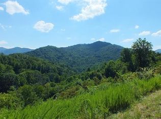 707 Woolyshot Branch Rd, Hot Springs, NC 28743