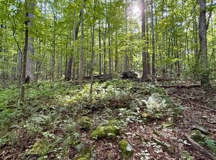 0 Walker Branch Rd LOT 3, Dunlap, TN 37327