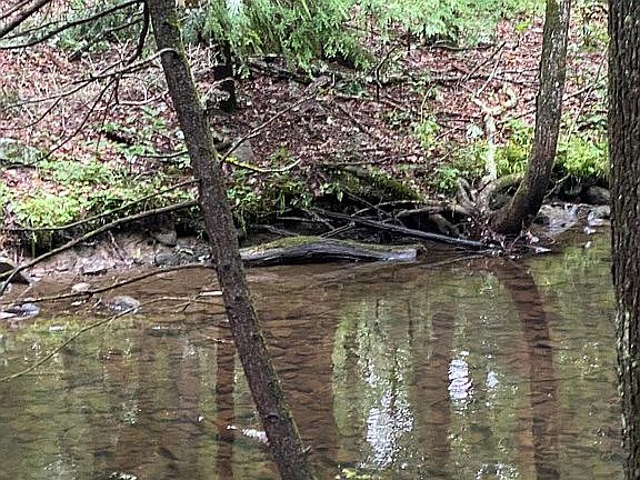 4th image of 161 County Route 17