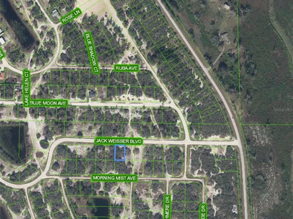 (undisclosed Address), Lake Placid, FL 33852
