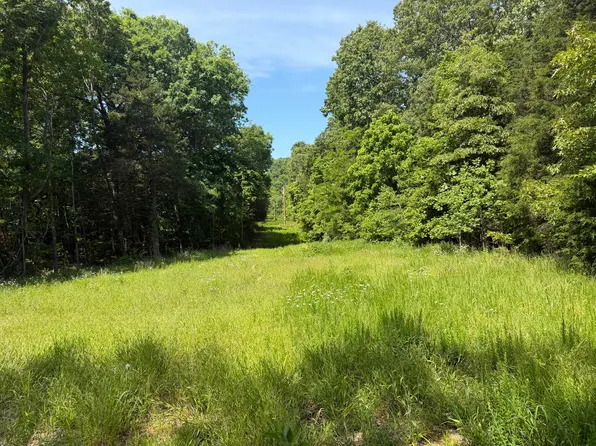 000 County Road 318 Lot 5, Tecumseh, MO 65760