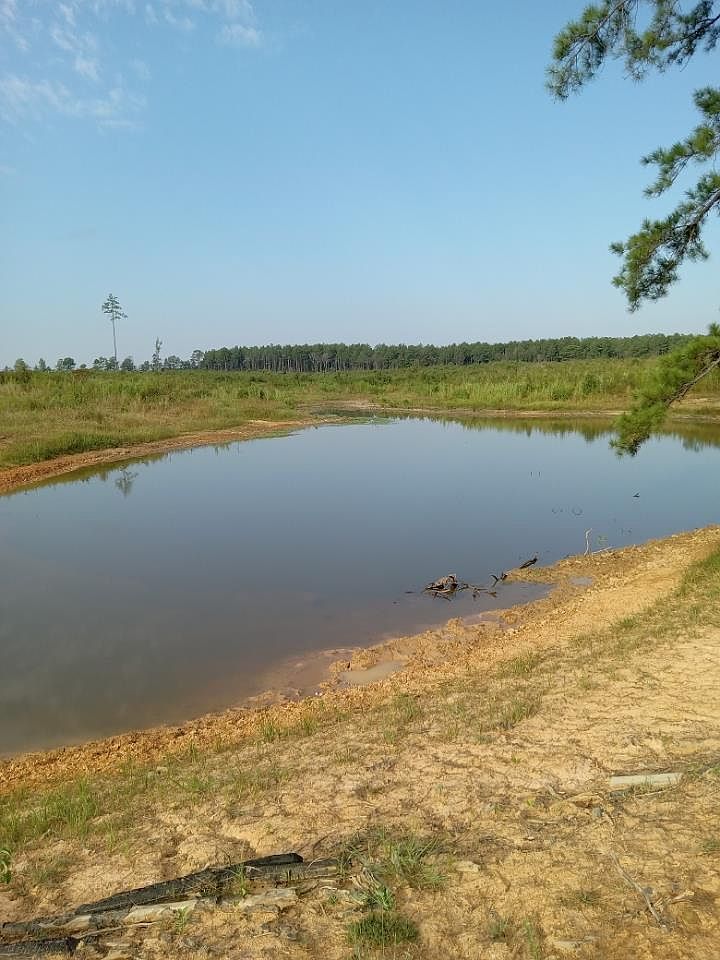 0 Wildwood Ln SE, Ruth, MS 39662 MLS 140288 Zillow