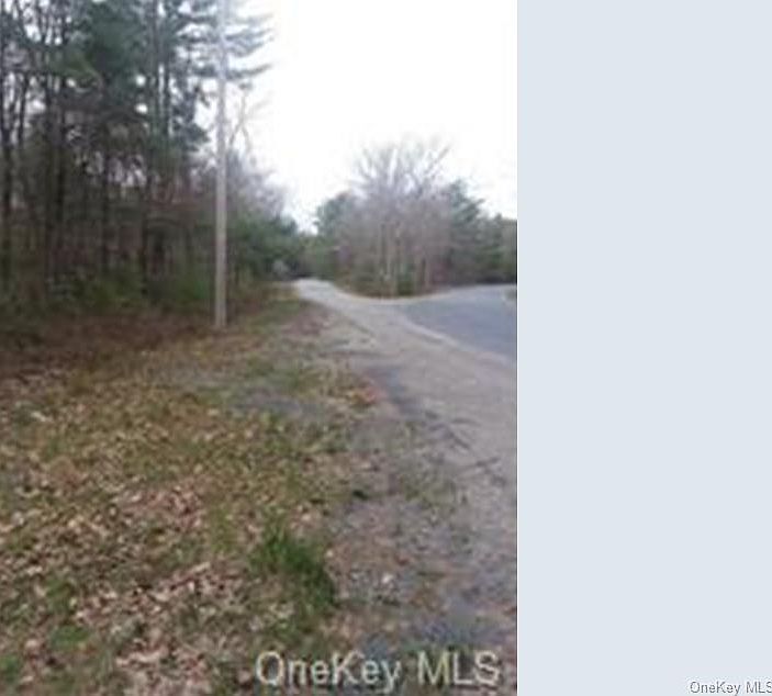 Forestburgh Road, Glen Spey, NY 12737 MLS H6189177 Zillow
