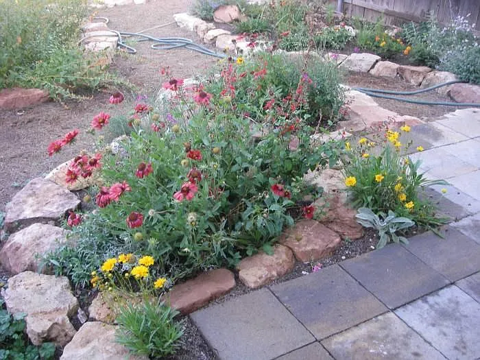 Patio and Garden