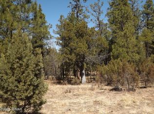 0004Y One Section #31, Overgaard, AZ 85933