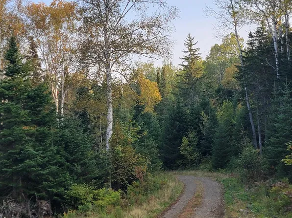 41-111 Big Snow Way, Rangeley, ME 04970
