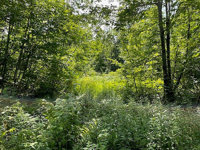 1st image of 00 Helsing Road
