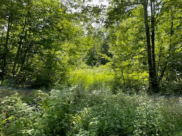 00 Helsing Road, Ojibwa, WI 54862