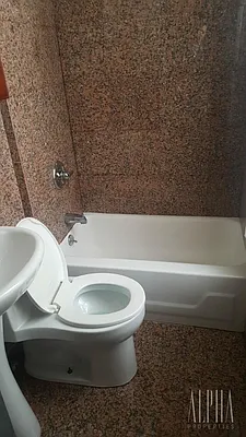 Rented by Alpha Properties NYC I LLC | media 39