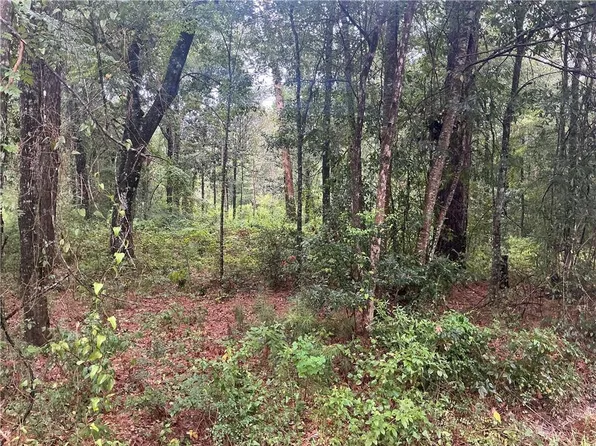 Lots 1a & 12a Sq #8, Abita Springs, LA 70420