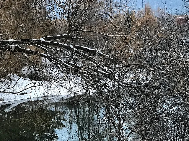 102 Miles Ave — Photo 30