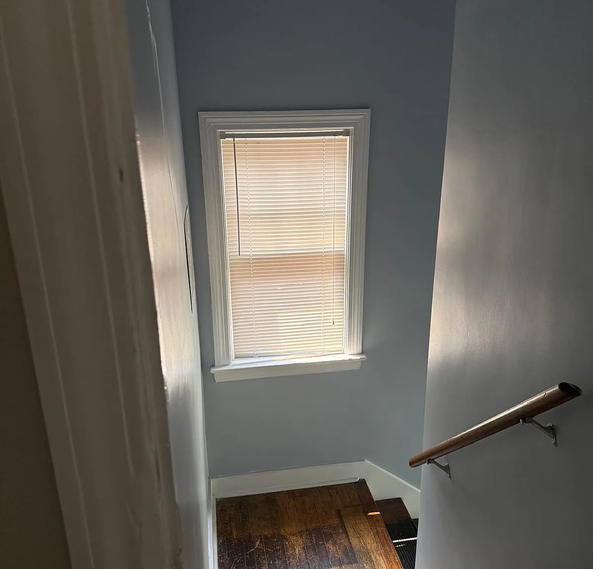 1 bed, $950 — Photo 3