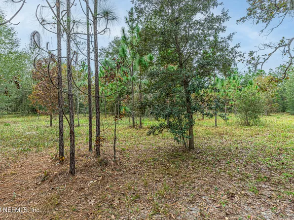 00 APPALOOSA Road, Middleburg, FL 32068