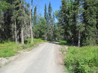49125 Tote Rd, Soldotna, AK 99669