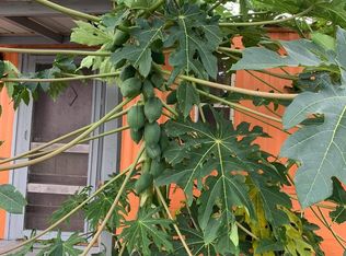 4 Tejas Rd S, Los Fresnos, TX 78566