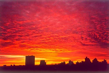 Rented by Town Residential