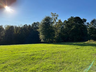 32813 Bruno Rd, Dozier, AL, 36028