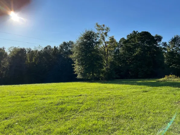 32813 Bruno Rd, Dozier, AL 36028