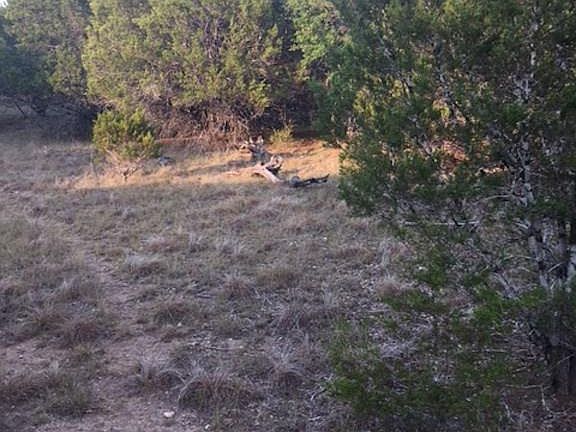3rd image of 885 E County Road 3064