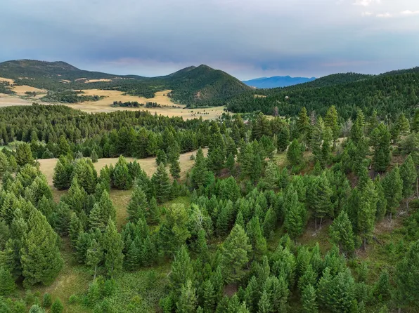 Nhn Perry Ranch Dr, Drummond, MT 59832