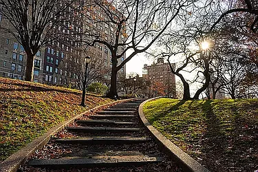 Rented by Vector New York, LLC