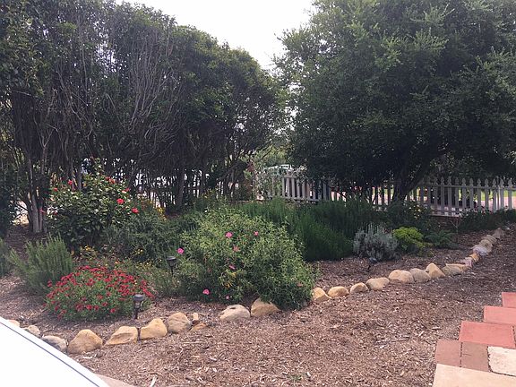 Front yard