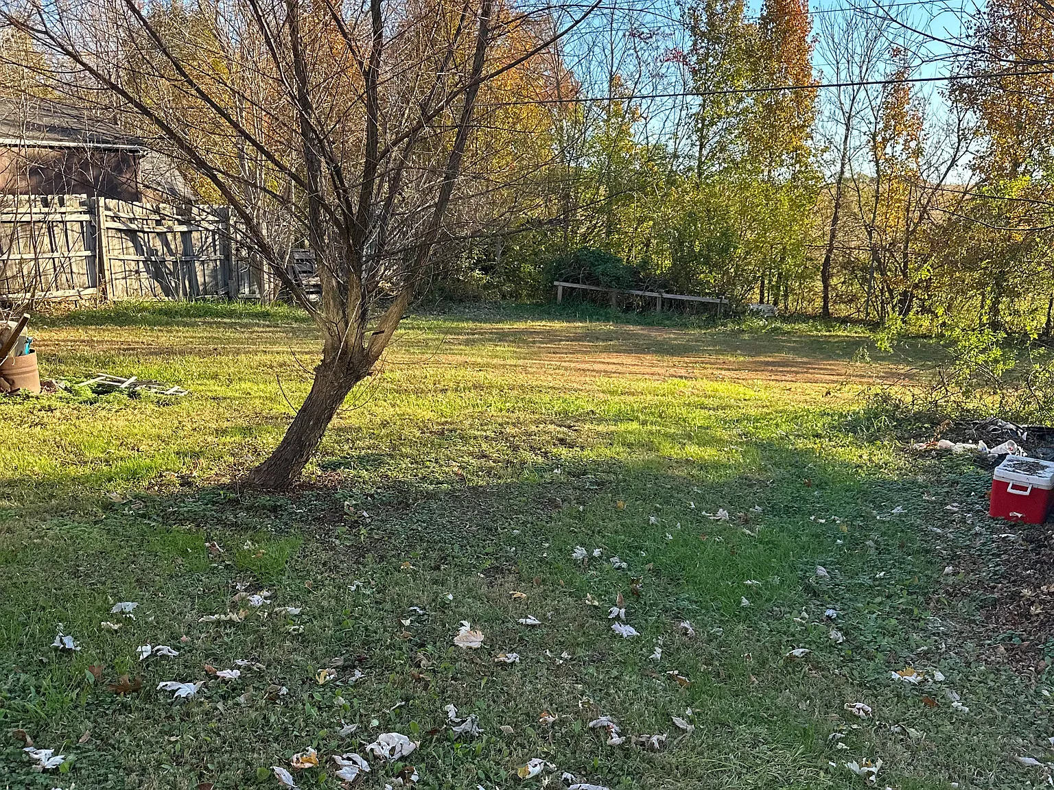 3 bed, 1000 sqft, $1,375 — Photo 3