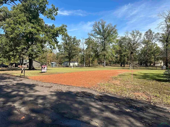 1075 1st Rd, Diana, TX 75640