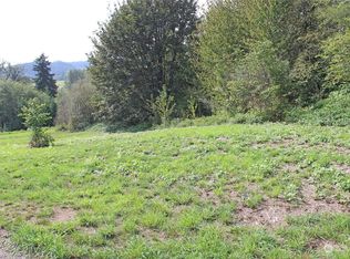 27 Alfredson Rd, Oakville, WA 98568