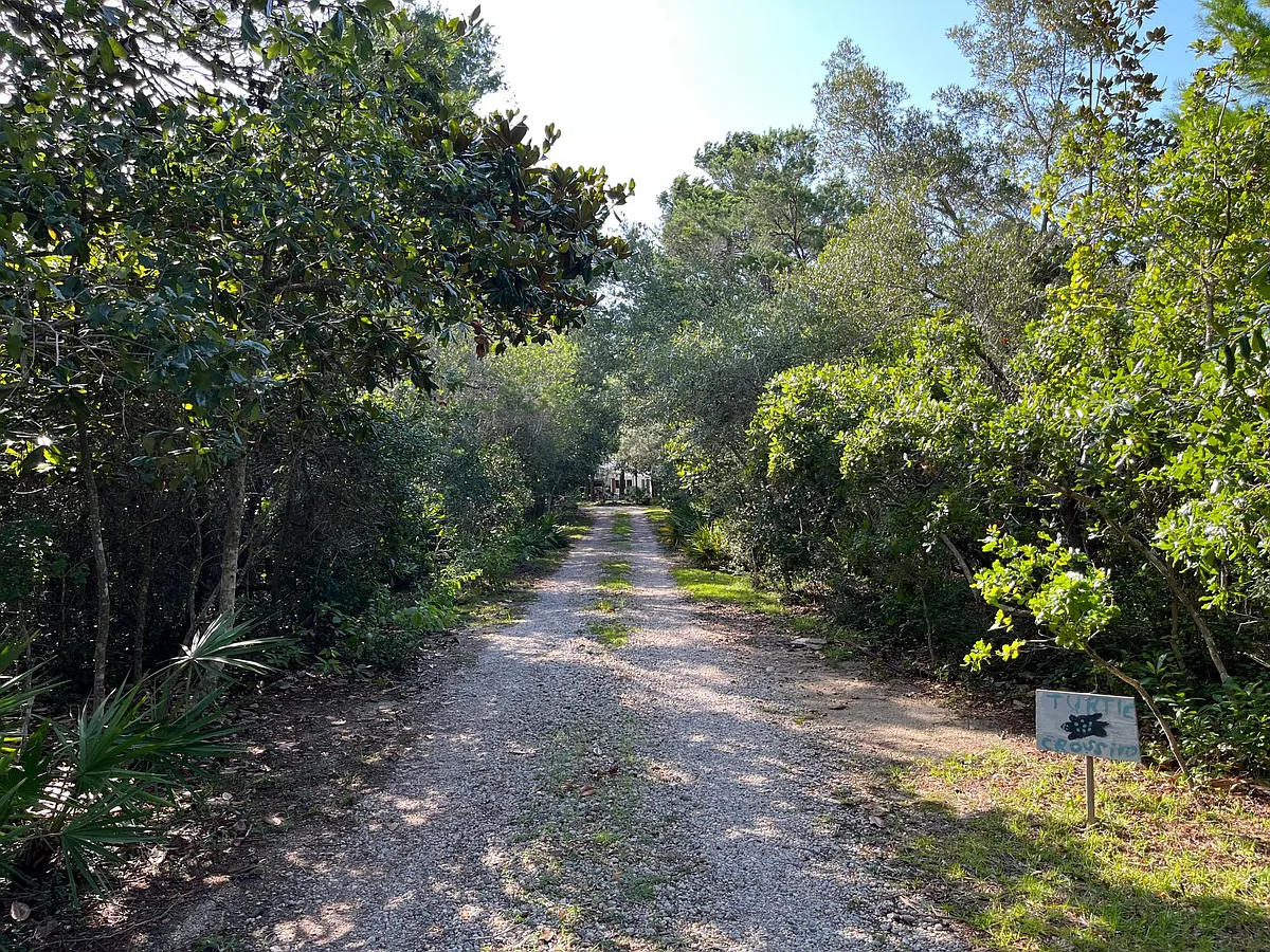 Entry drive - 791 Spring Lake Dr