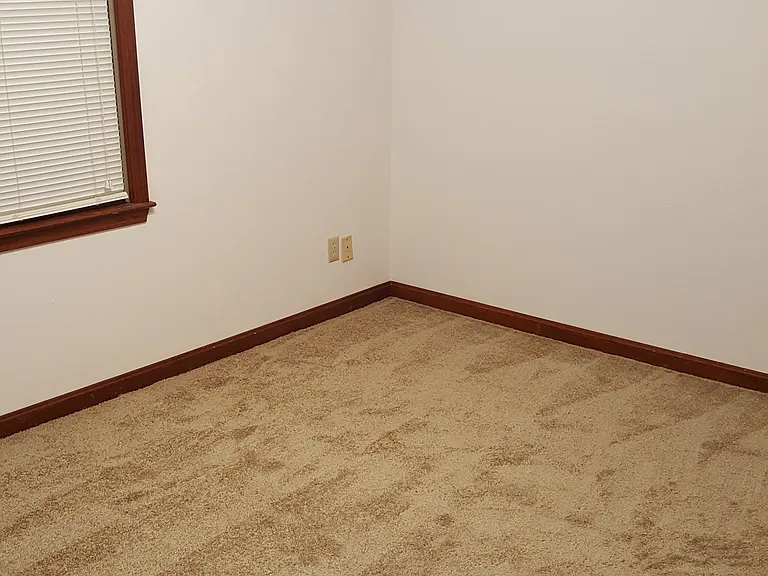 541 Circle Pine Dr — Photo 13