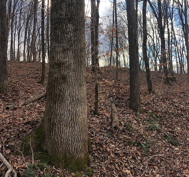 2nd image of Richardson Spur Rd