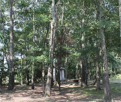 5th image of 400 Vz County Road 4708