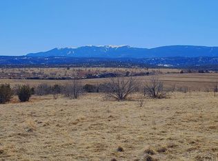 5817 Good Pasture Dr, Beulah, CO 81023