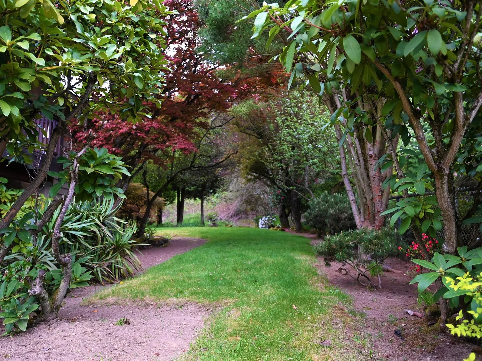 3 bed, 1780 sqft, $4,500 — Photo 3