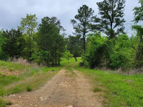 137 Fishers Nook Dr, De Queen, AR 71832