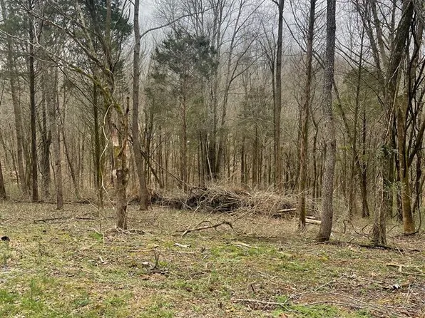 51A Walleye Way, Scottsville, KY 42164