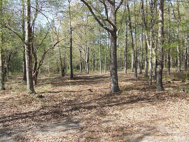 2nd image of 174 Fall Branch Rd